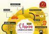 China a través de los tiempos / Fin de la era feudal