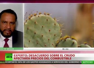 OPEP logra acuerdo para recortar suministro de barriles