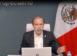 Regala CNA alimentos contra el hambre causada por COVID-19