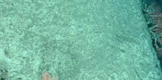Submarino ruso llega a lo más profundo del planeta