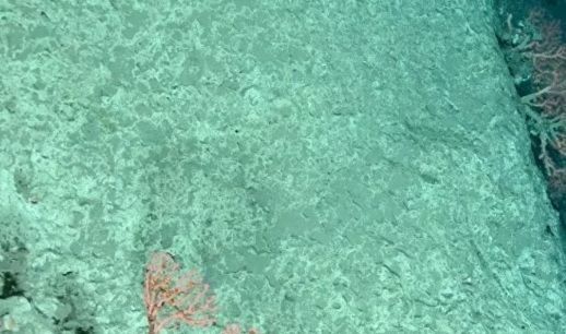 mar