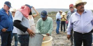Baja la siembra en siete entidades mexicanas, por COVID-19: Biofábrica