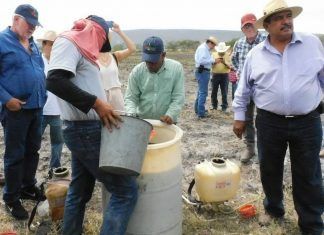 Yo Campesino / Pagarán caro