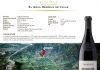 Las delicias del vino