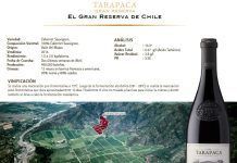 Las delicias del vino