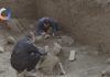 Guerreros de Terracota que trascienden espacio y tiempo