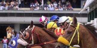 Auxilio, piden caballistas del Hipódromo de las Américas