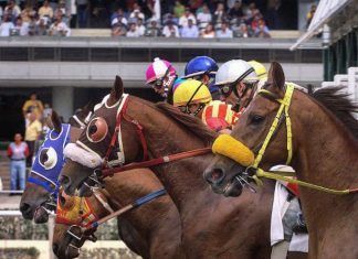 Factible, operación del Hipódromo de las Américas: López-Gatell