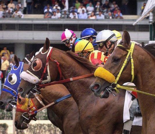 Auxilio, piden caballistas del Hipódromo de las Américas