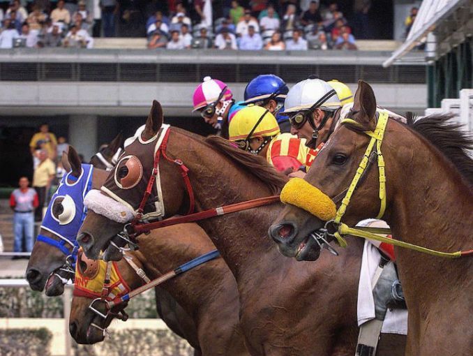 como-apostar-primera-vez-en-hipodromo