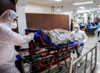 Bacterias del intestino pueden influir en gravedad del COVID-19