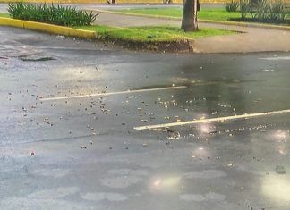 Video captó el momento del ataque a García Harfuch