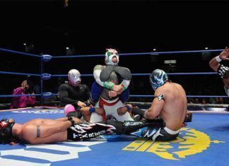 Luchadores buscan regulación para su gremio