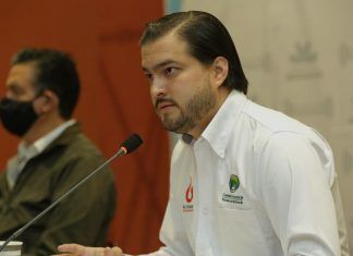 Michoacán / Con 19 millones de plantas serán reforestadas 23 mil hectáreas