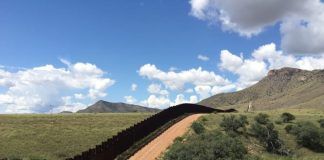 México calla, pese a riesgo de especies por muro de Trump: Sky Island