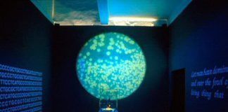 Cultura / Bioarte: tejer lo orgánico con biotecnología
