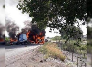 Michoacán / Habitantes de Aguililla, en situación desesperada