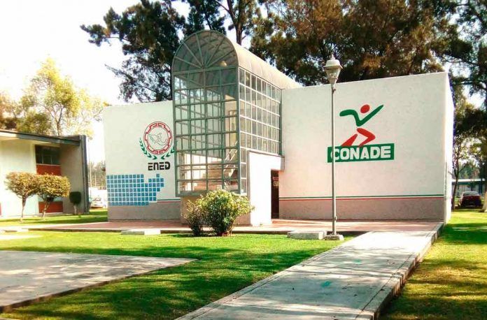 PAG-12-E.CONADE-AGENCIA-OK-1
