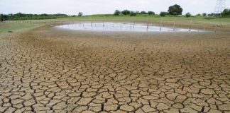 México, sin integración de políticas agroalimentarias