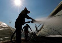Mayo ha sido el más caluroso en la historia de México