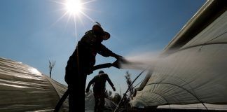 Comenzará la canícula en México