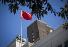 Sheinbaum: México dialoga con China por arancel a nuez; descarta represalia