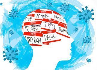 Artículo / Salud emocional