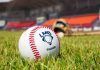 No habrá Liga Mexicana de Béisbol