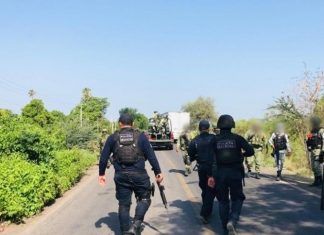 Michoacán / Queman vehículos e instalan bloqueos en municipios