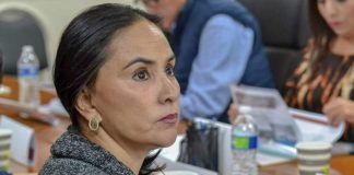 Suplente de Vanessa Rubio, llegará sin partido a la Cámara Alta