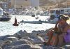 Baja California Sur / Cierran nuevamente playas