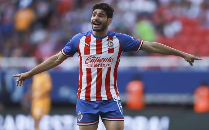 pollo-briseno-regreso-a-la