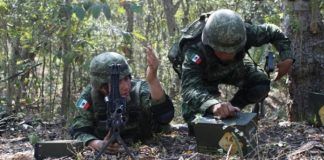 Sedena inhibe cuatro drones en frontera y reporta choque con civiles en Guerrero