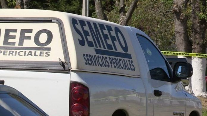 semefo