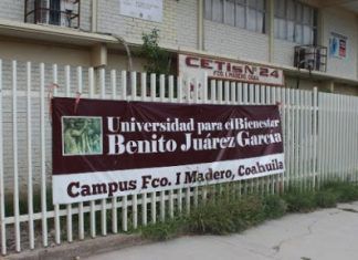 Artículo / Políticas sociales de 4T, naufragan
