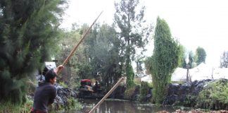 Limpian canales de Xochimilco