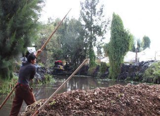 Limpian canales de Xochimilco