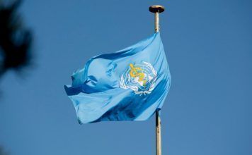 OMS anunció creación de comisión de expertos para promover conexión social