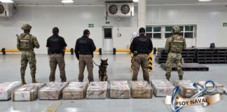 Colima / Decomisan 678.4 kilogramos de cocaína