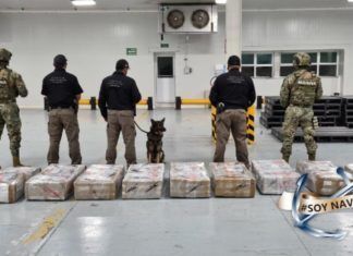 Colima / Decomisan 678.4 kilogramos de cocaína