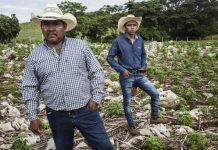 Yo Campesino / ¿Sometidos?