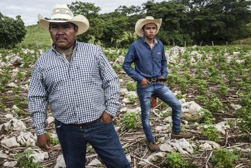 foto campesino pobre 3