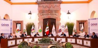 GOAN propone decálogo de rescate a la economía