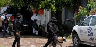 Jalisco / Hallan 141 cuerpos en fosas clandestinas