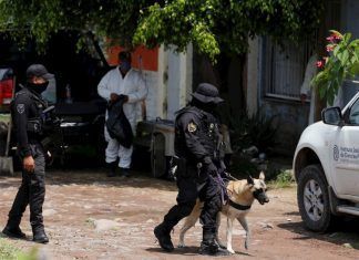 ESPECIAL / ¡Desaparecidos!