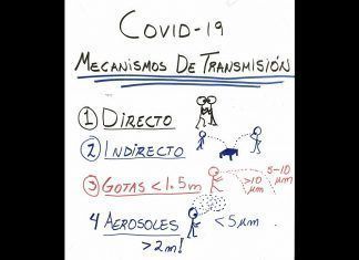 Mecanismos de transmisión del COVID-19