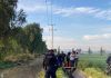 Hidalgo / Hallan cadáver de mujer abandonado en Progreso