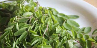 Moringa, ‘el árbol milagro’