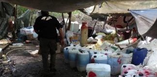 Sinaloa / Decomisan sustancias químicas para elaboración de drogas