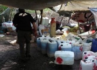 Sinaloa / Decomisan sustancias químicas para elaboración de drogas